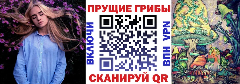 Псилоцибиновые грибы Psilocybine cubensis  Шагонар 