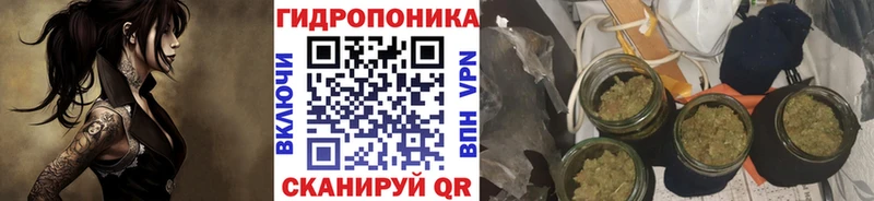 Каннабис AK-47 MEGA ТОР Шагонар